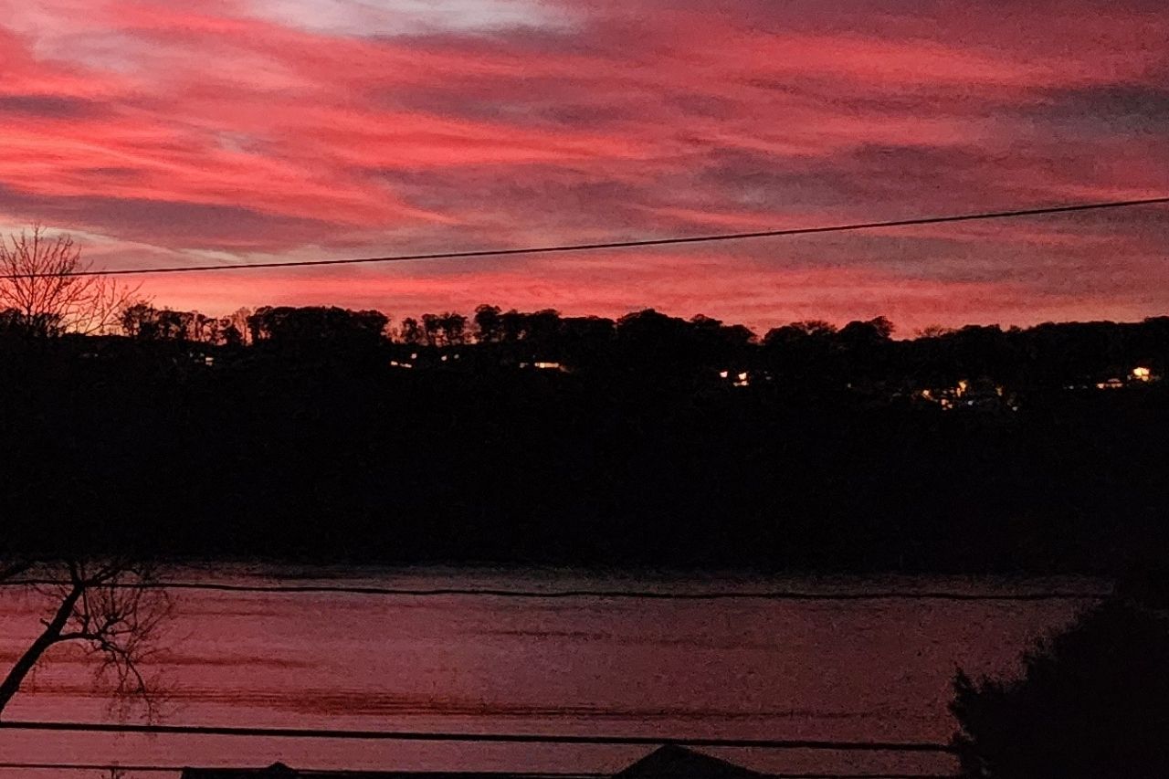 Website Materials (23)