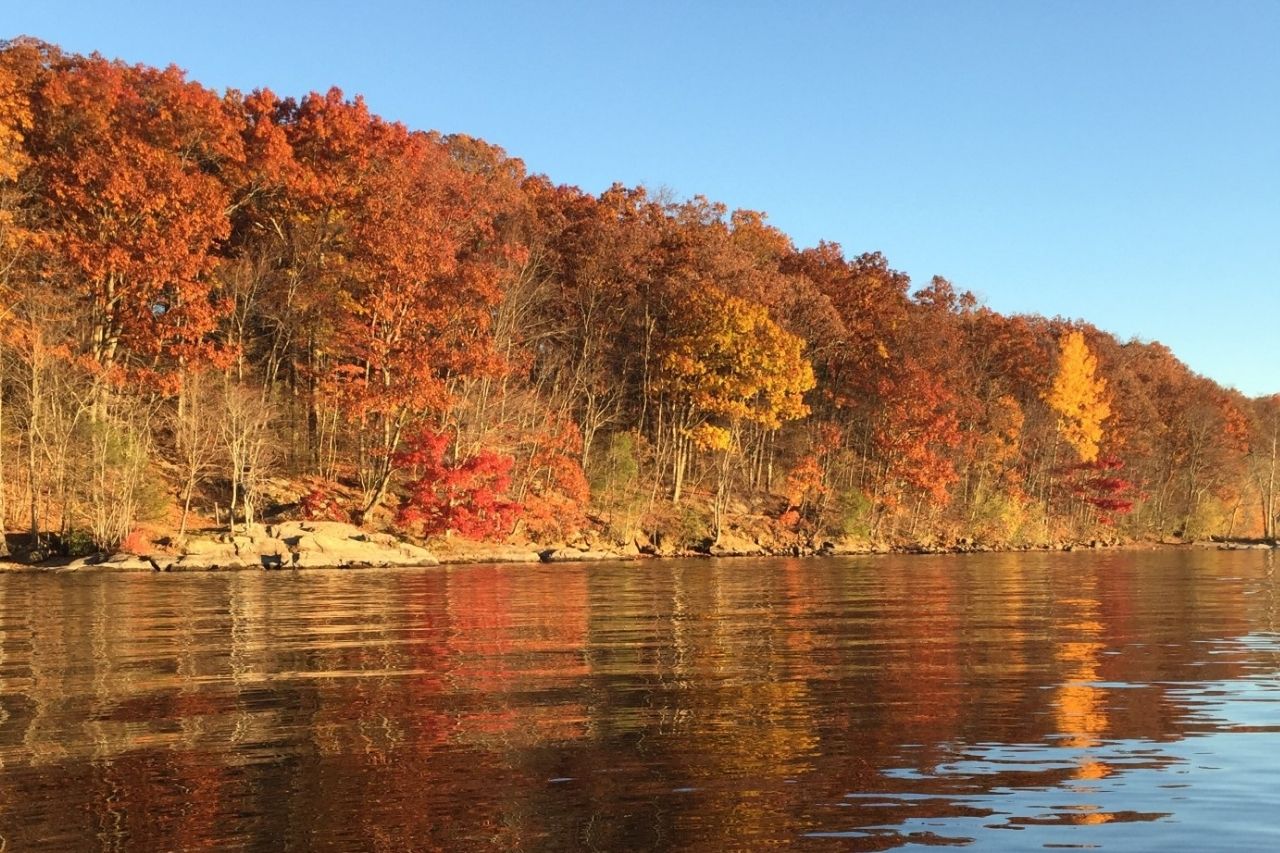 Website Materials (24)